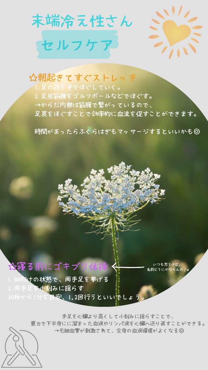 漢方相談、体質のご相談お受けします 心身を整えることで、快適な生活を目指せます。 イメージ3