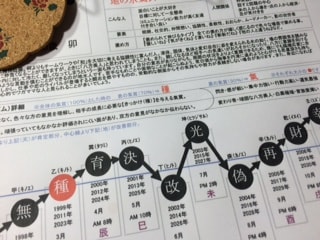 氣質鑑定による褒め方叱り方を教えます こどもの事がいまいち理解しきれない方へ イメージ3