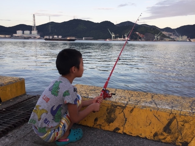 初心者でも仕掛け作れる、釣れる、カサゴ釣り教えます エサ代３００円、釣具購入、仕掛け作りから、釣りまで詳しく解説 イメージ2