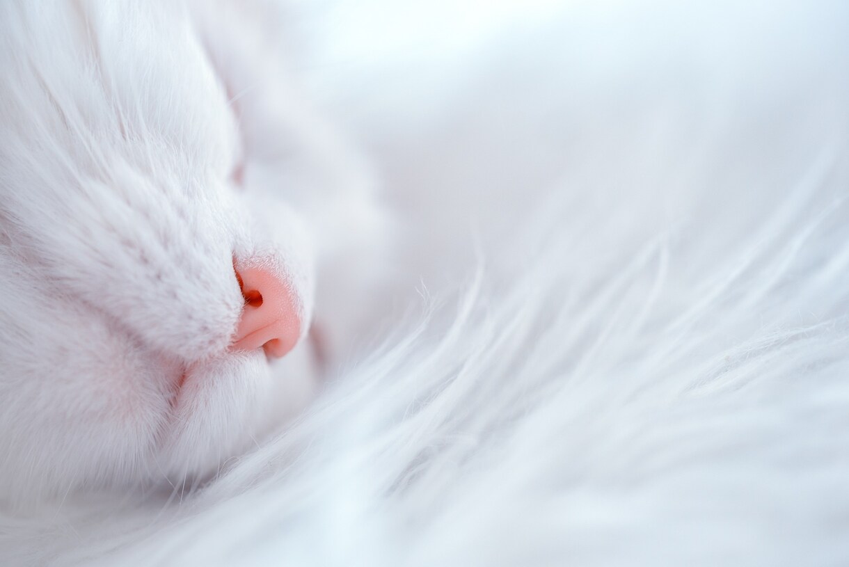 もう悩まない！自分のやりたいことを一緒に見つけます 「このままでいいの？」と不安な気持ちをスッキリ解消しましょう イメージ5