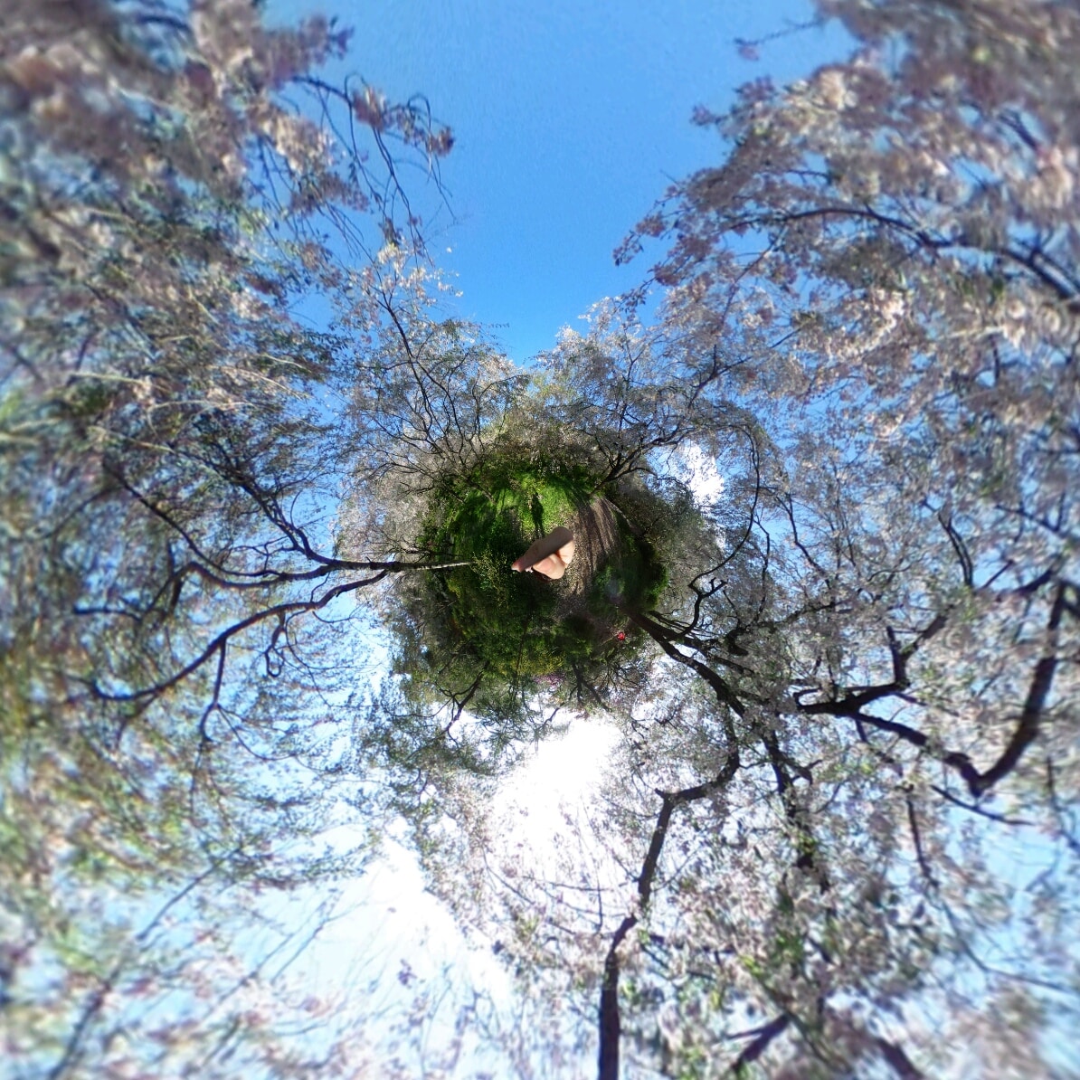 360°カメラで京都の写真を提供します♪ます 気になるスポット、観光、旅行の下見や絵の資料などにも イメージ1