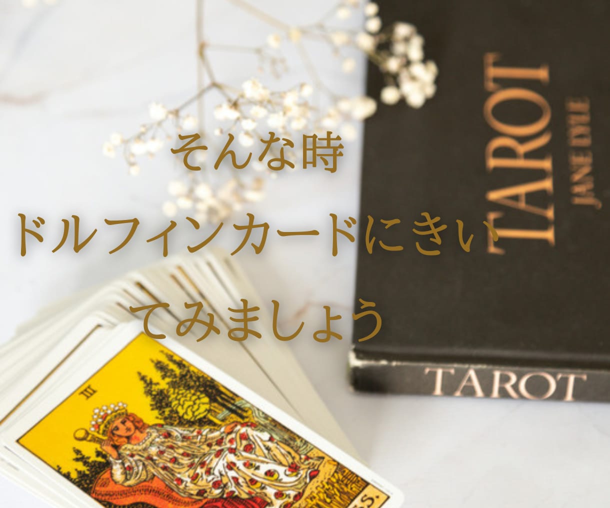お相手の方との状況をカードを使って導きだします 結婚をお考えでイルカのような家族になりたい方にお届けします。 イメージ5