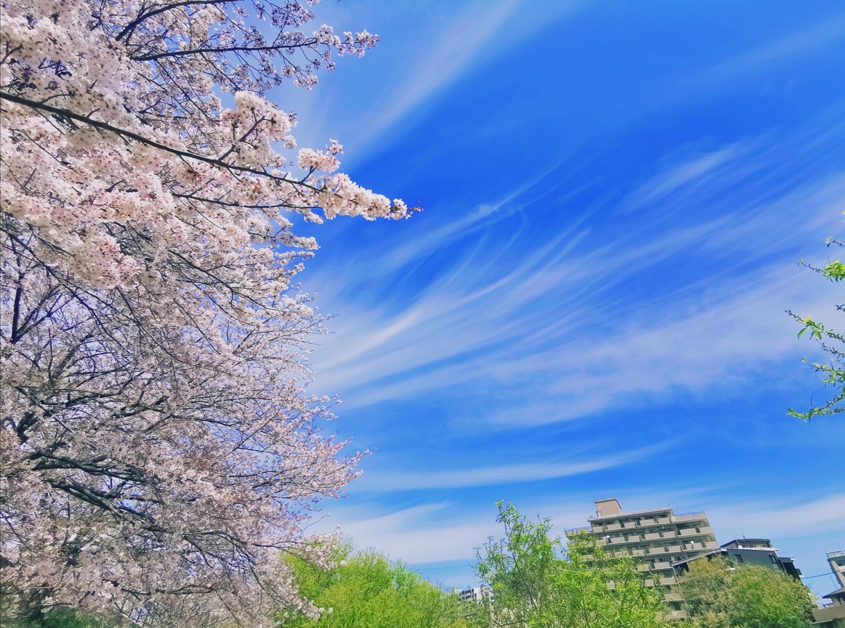 深く丁寧に本確鑑定します お悩みや相談のある方のメニュー イメージ1
