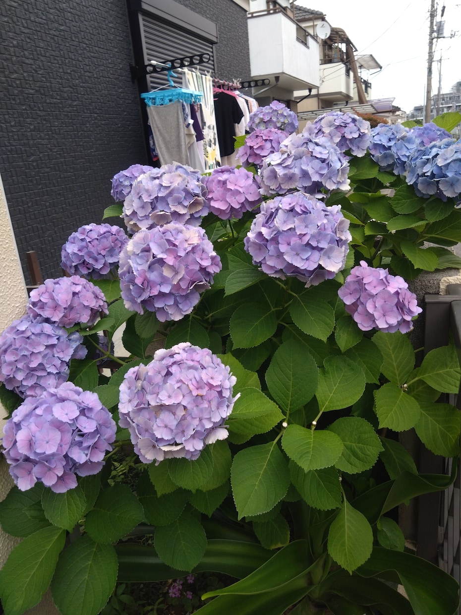 即レス☆今☆旧友のようにあなたとおはなしします まったり電話でお話相手させてください イメージ3