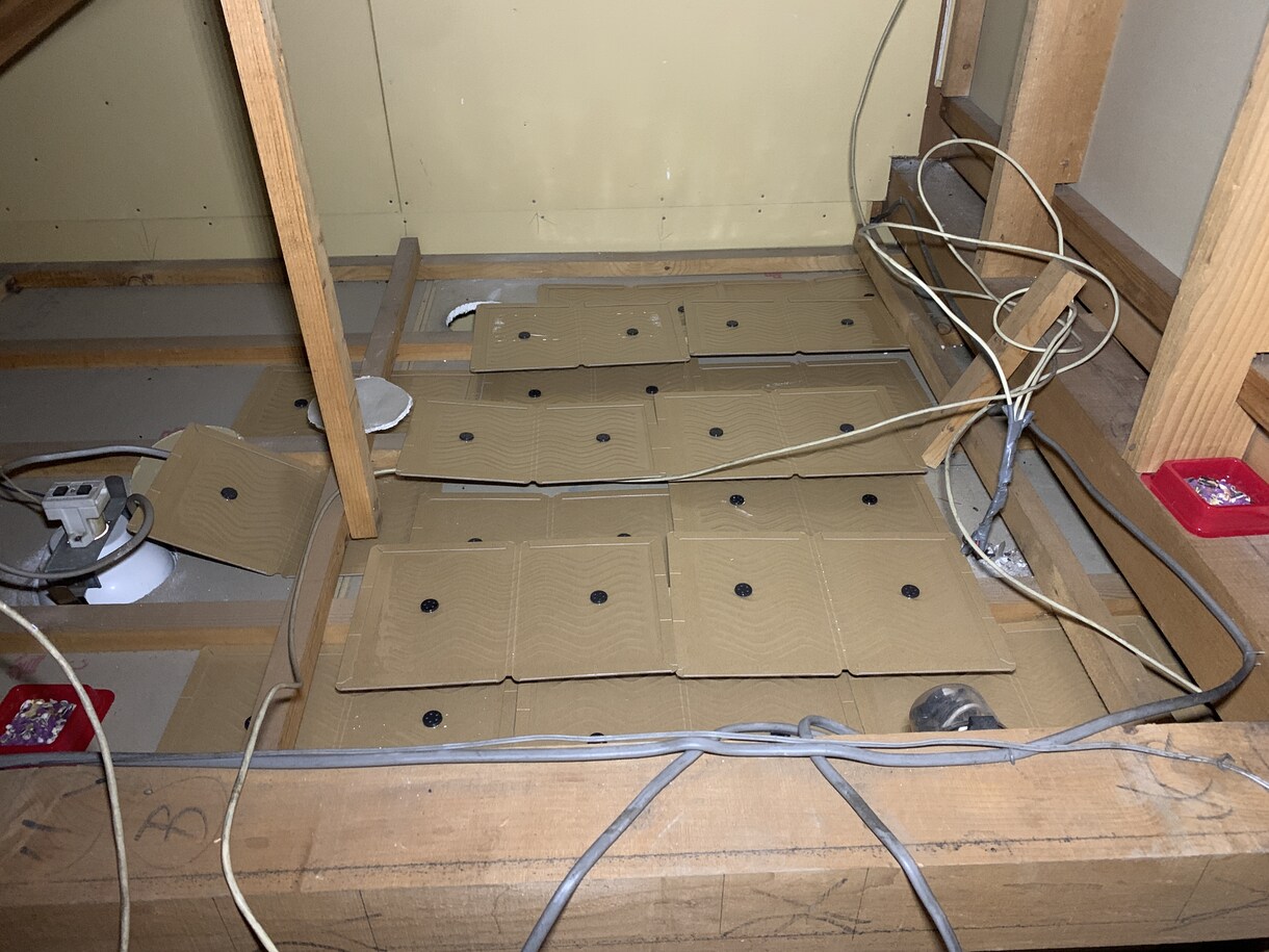 害獣駆除　ネズミ駆除のアドバイスします 業者に頼む前にご自身で対策◉女性スタッフが対応します◉ イメージ2