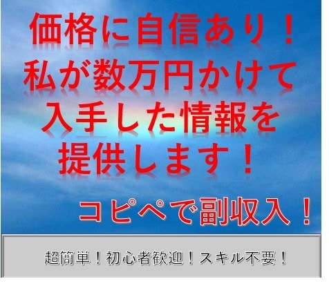 ココナラにそのまま出品可能⭕️情報商材提供します 【超入門編】手法作成フルサポート⭕️ イメージ2