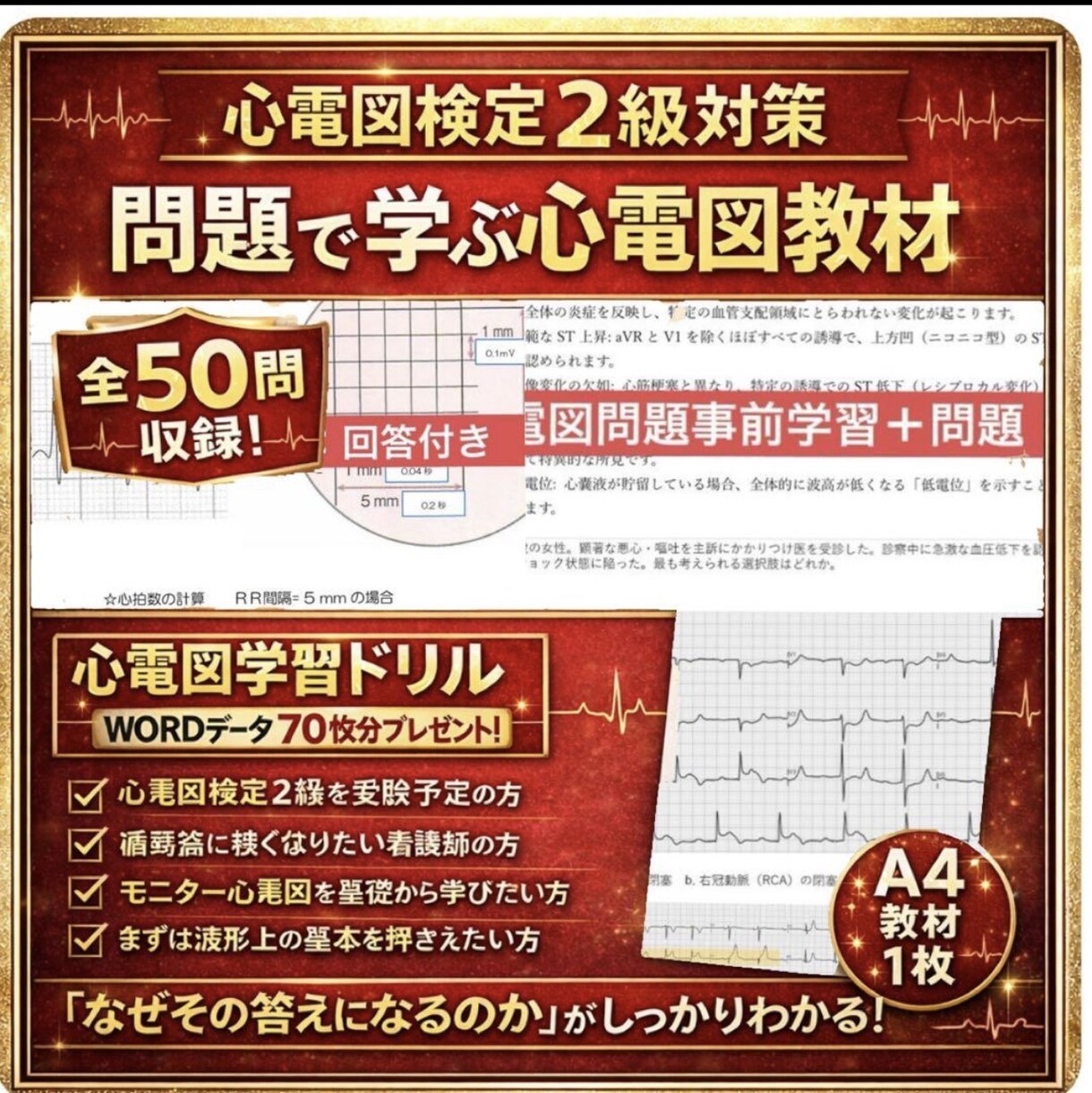 心電図検定2級資格取得サポートをします 心電図検定1級取得者が資格取得サポートをします！ イメージ1