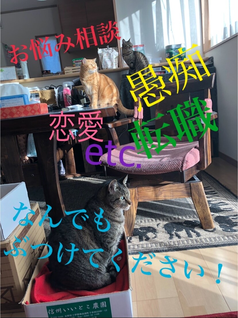 悩み相談等、愚痴もなんでもお聞き致します 少し変わった生い立ちや後悔を乗り越えて今日も笑ってます イメージ1