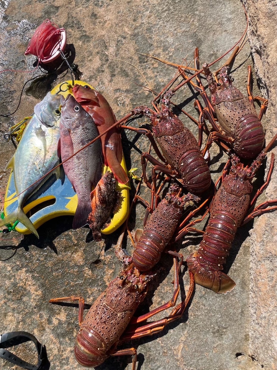 初めての魚突きをゼロからサポートします 経験者が安全な始め方と道具選びを丁寧にサポート イメージ4