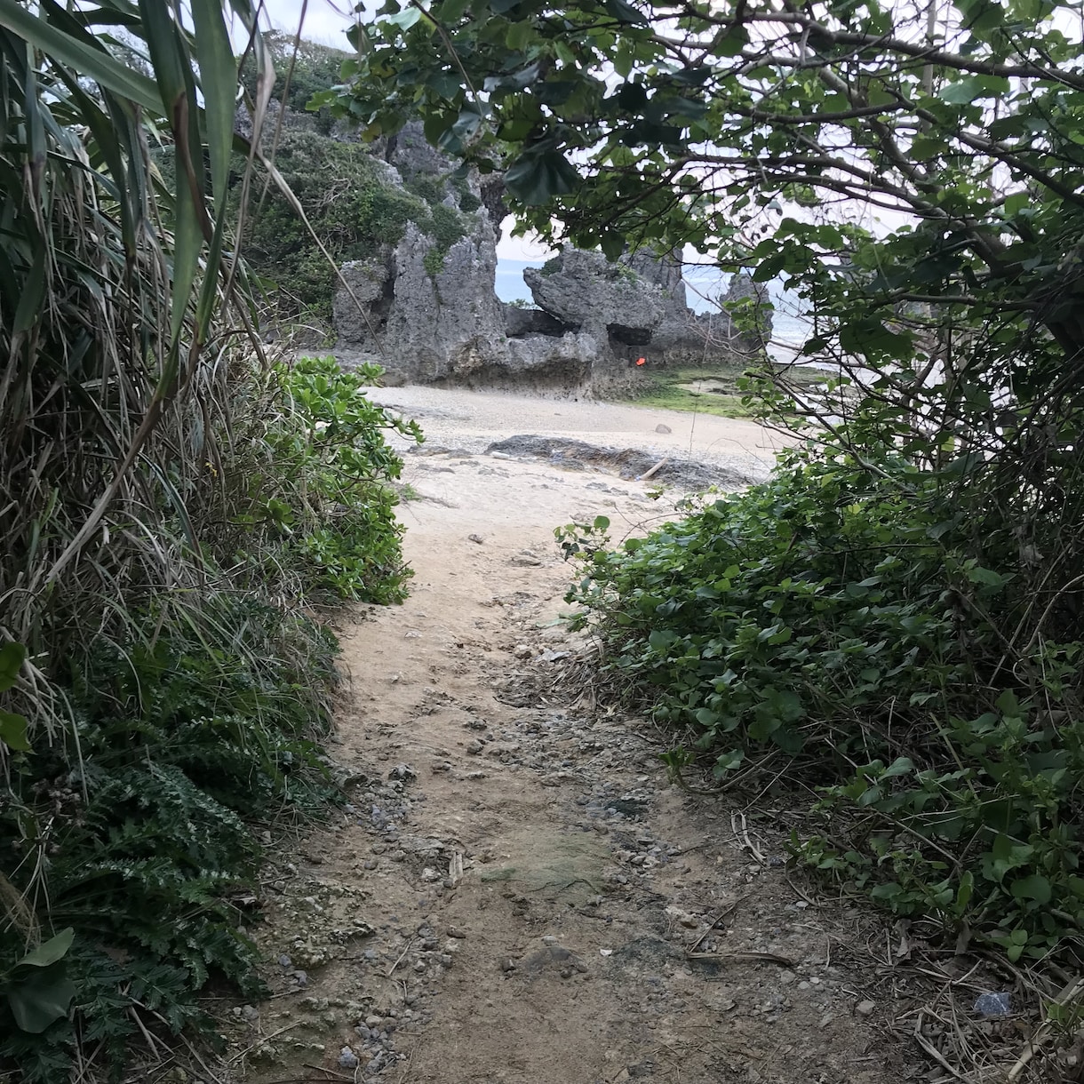 沖縄在住の僕がオススメ観光スポット色々教えます 旅行に来られる方や観光スポット穴場スポットにたどり着けない方 イメージ4