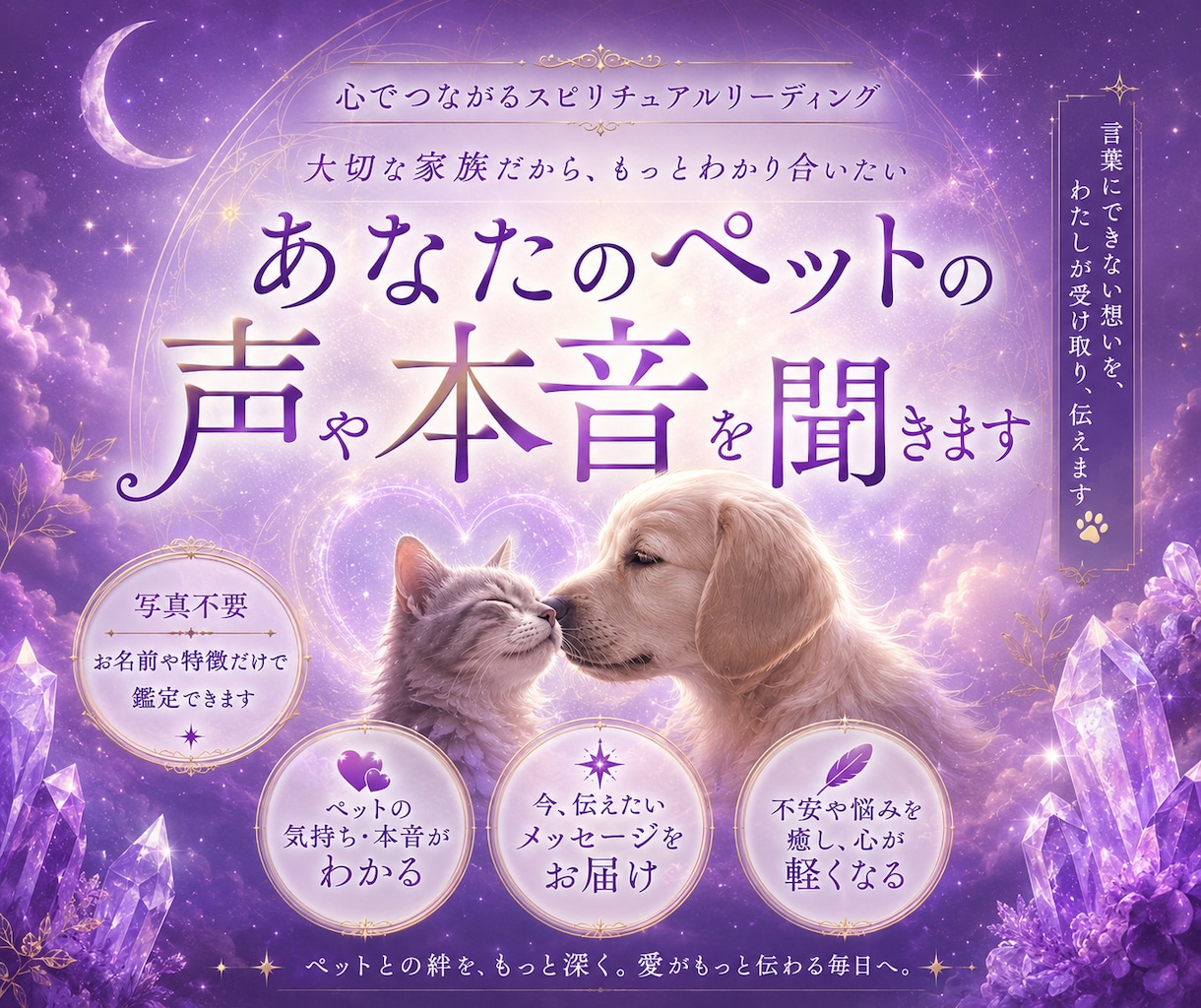 愛する我が子の本音をお届けいたします アニマルコミュニケーション動物の"本音"をお伝えいたします。 イメージ1