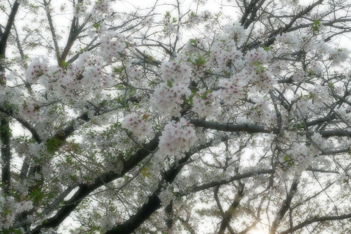 風景写真の素材提供をいたします 趣味で風景写真を撮影しております。 イメージ6
