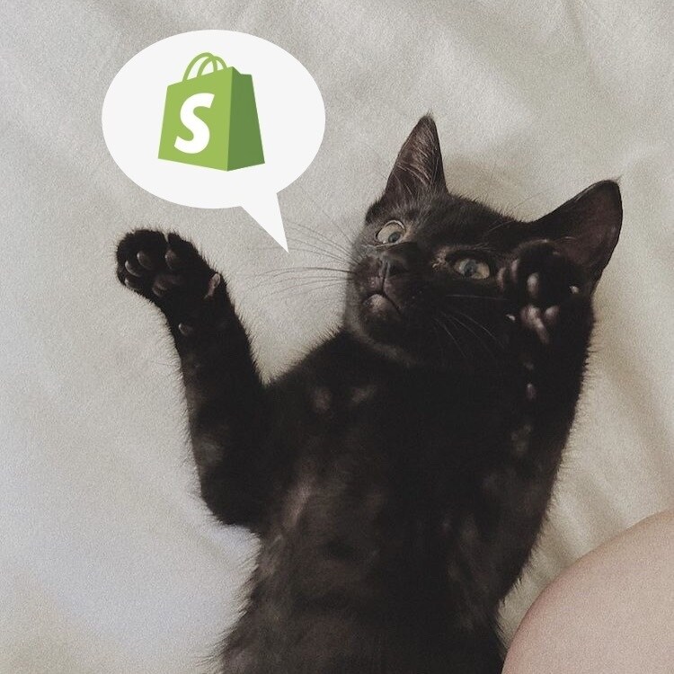 Shopifyを用いたECサイト②を制作します ドメイン取得やDNS設定、メールサーバの設定サポートも可能 イメージ1