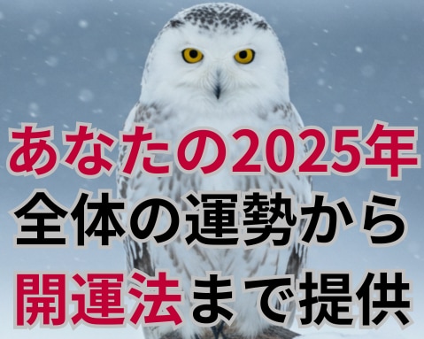 あなたの2025年の運勢と開運法を伝授します サードアイ霊視で視るあなたの未来、使命　オーダーメイド開運術 イメージ1