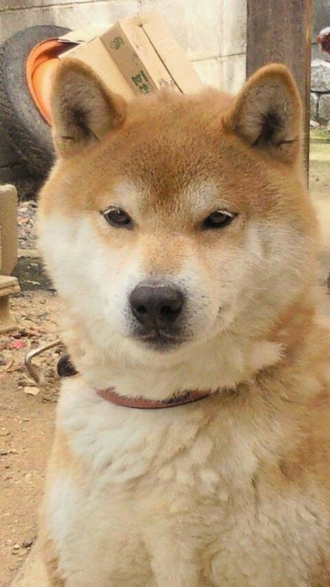 あなたのお話を全部受け止めて聞きます 話すことは執着を離すこと。自分で答えに気づこう イメージ3
