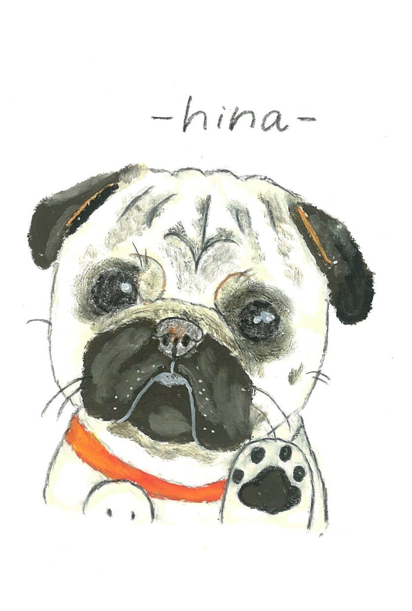 愛するわんちゃんの似顔絵を描きます 虹の橋を渡ったわんこの思い出や愛犬家の友人へのプレゼントに イメージ6
