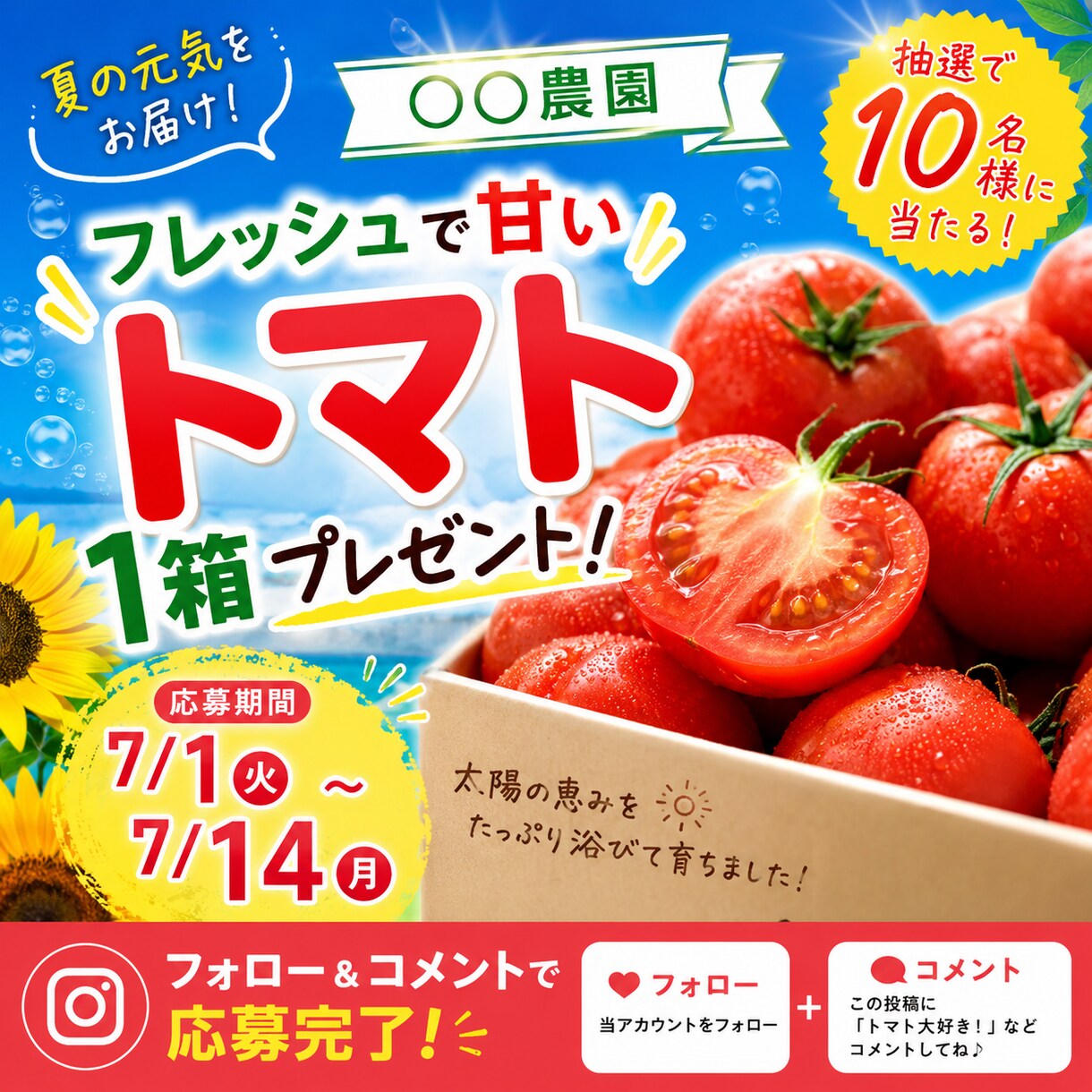 Instagram運用を丁寧にサポートしますます 投稿作成から運用サポートまで対応 イメージ1