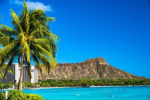 アメリカビザ取得のサポートをいたします ビザ申請の不安をプロが解消 ! イメージ1