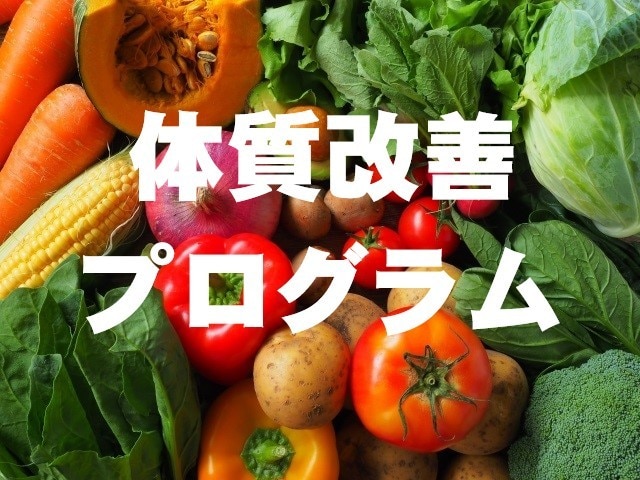 体質改善に導きます なんか体がだるい、疲れてる、倦怠感を何とかしませんか？ イメージ1