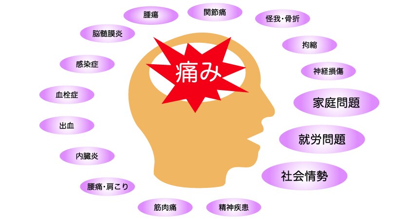慢性的な痛みを抱えている方の相談に乗ります 現役の理学療法士がお話を聴きます！ イメージ3