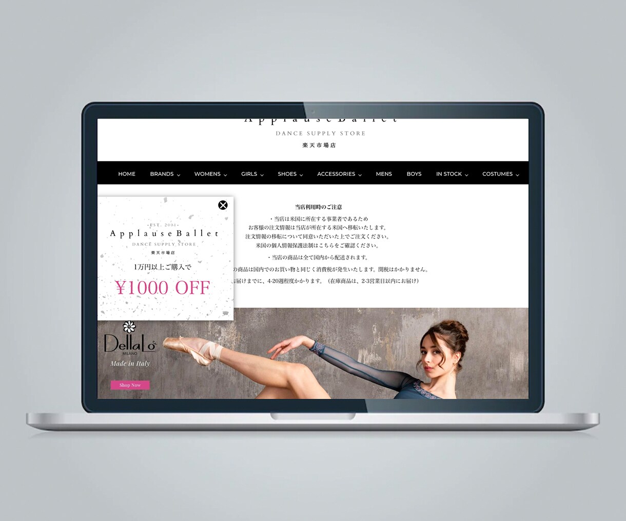 楽天RMS【RMSテンプレートデザイン】します 【受賞店など実績400店舗以上】現役デザイナーが作成します！ イメージ6