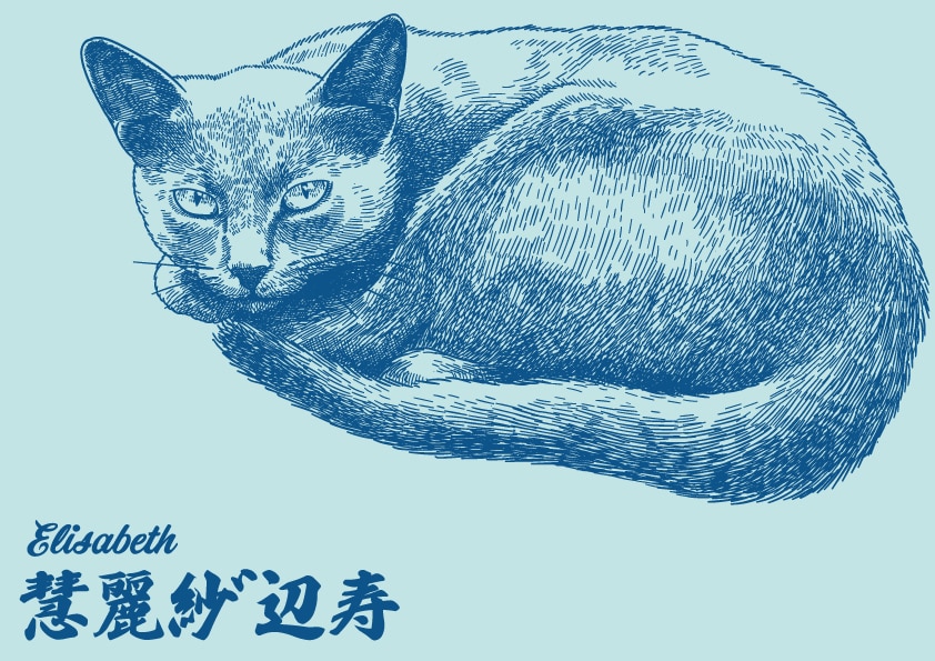 お名前や単語を家紋・イラストと融合しロゴ制作します デザインコンテスト大賞デザイナーがロゴを製作 イメージ4