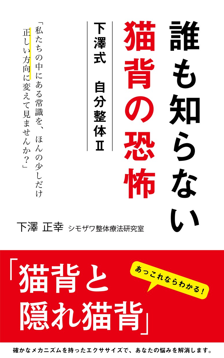 電子書籍の表紙をお安く制作いたします シンプルだけど印象に残るデザインをお安くお届け！ イメージ1