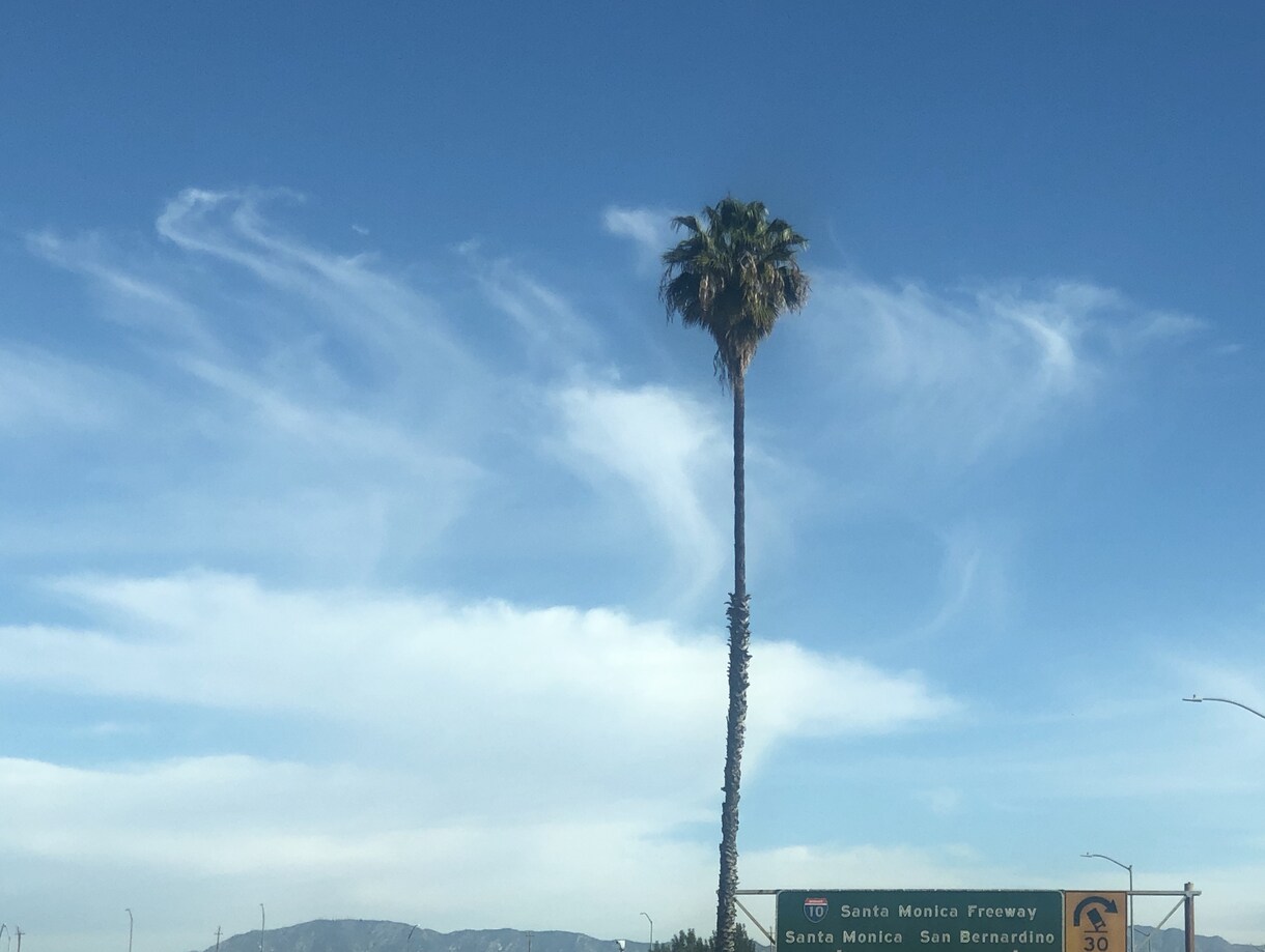 アメリカの風景画像ダウンロードできます アメリカの壮大さ美しさ心地良さが詰まった画像 イメージ4