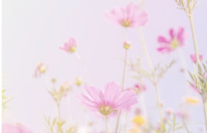 1ヶ月の交換日記☘️優しくお話お聞きします チャットで愚痴、悩み事、相談等、あなたの気持ちに寄り添います イメージ2