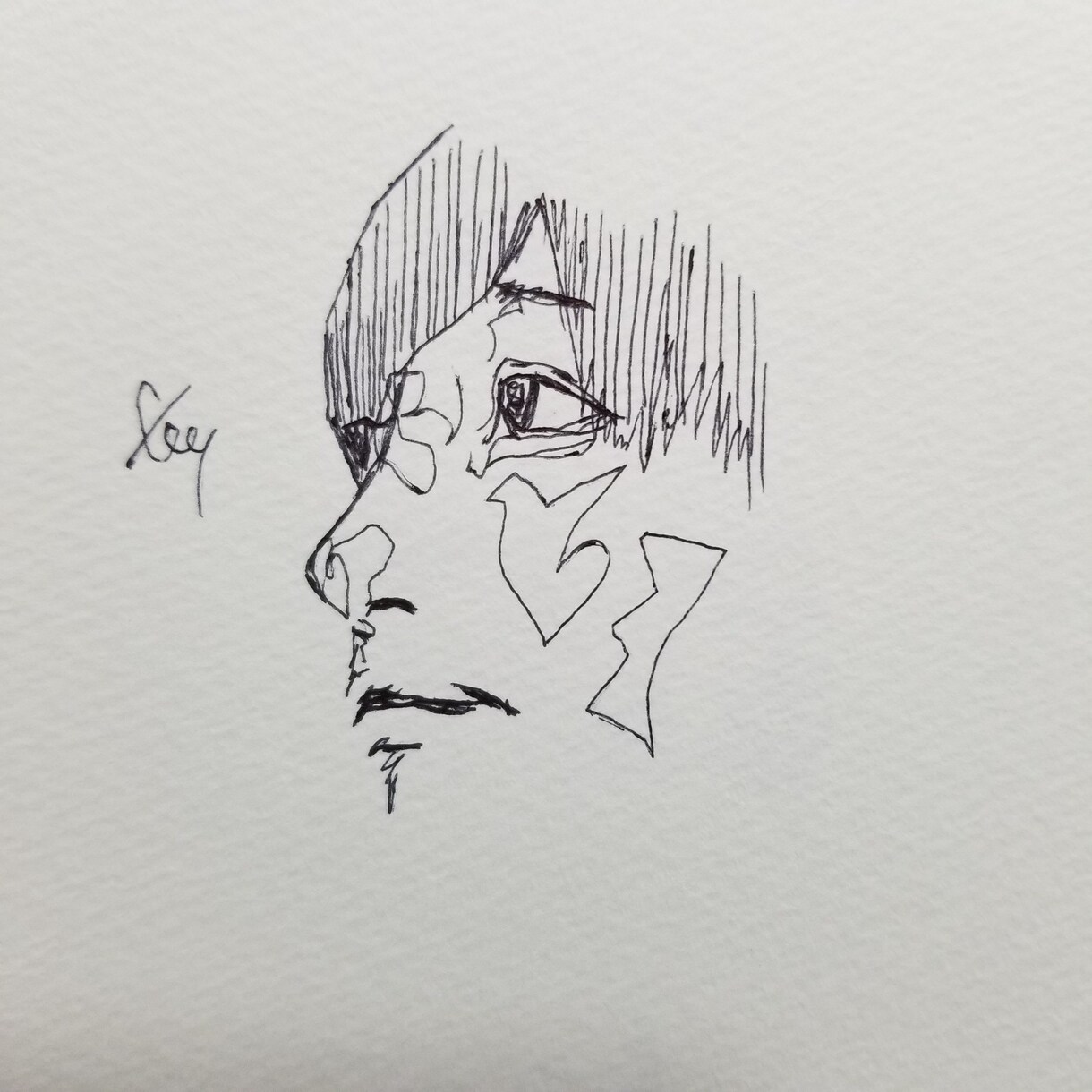 似顔絵、イラストを描きます デッサン、ペン画、シンプルタッチ。 イメージ7
