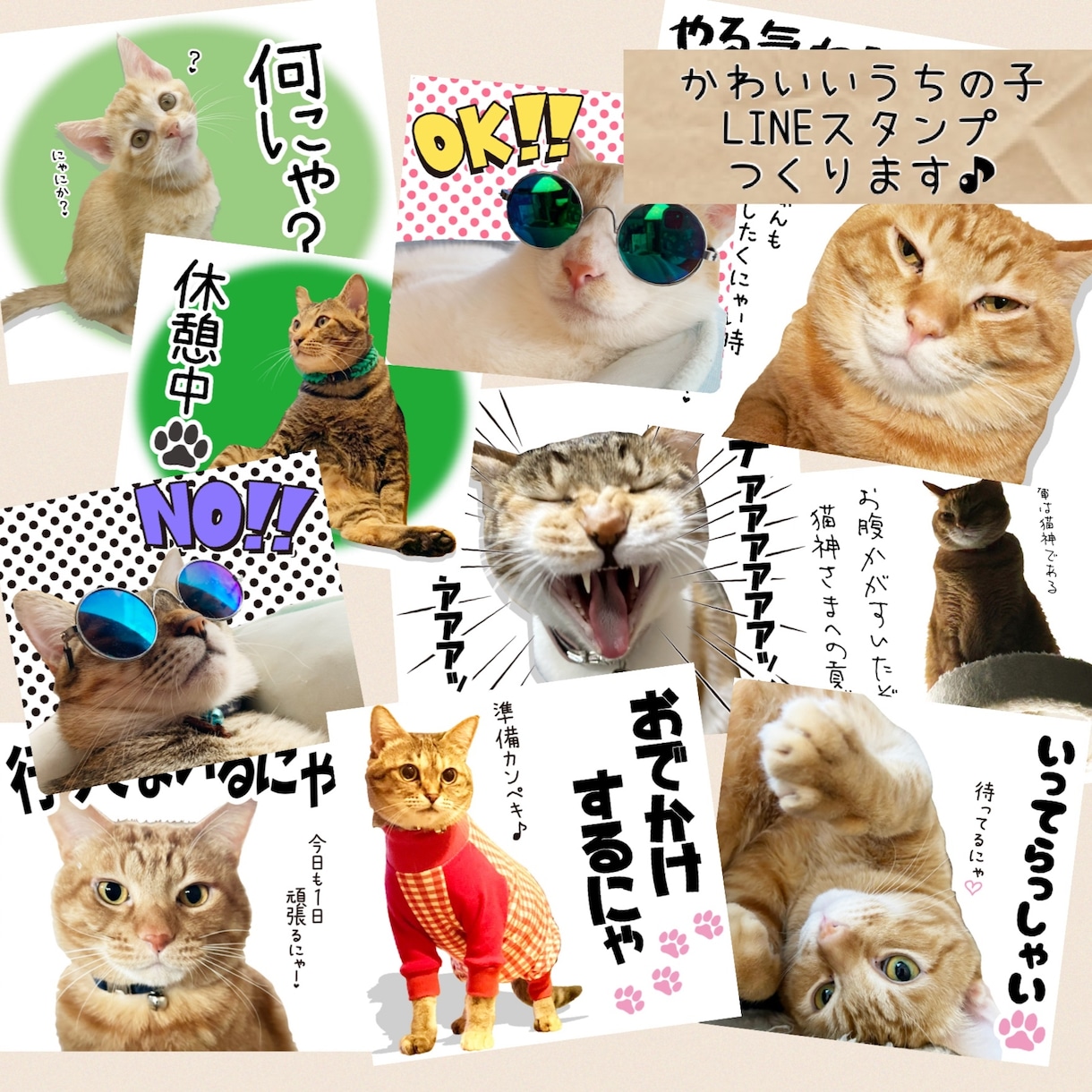 猫や犬、カワイイうちの子LINEスタンプつくります かわいいペットの写真でLINEスタンプをつくりませんか？ イメージ1
