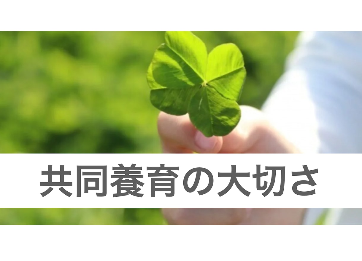子どもがいる家庭での離婚に悩む相談にのります 日本ではレアな年間130日以上の共同養育実践中です。 イメージ2
