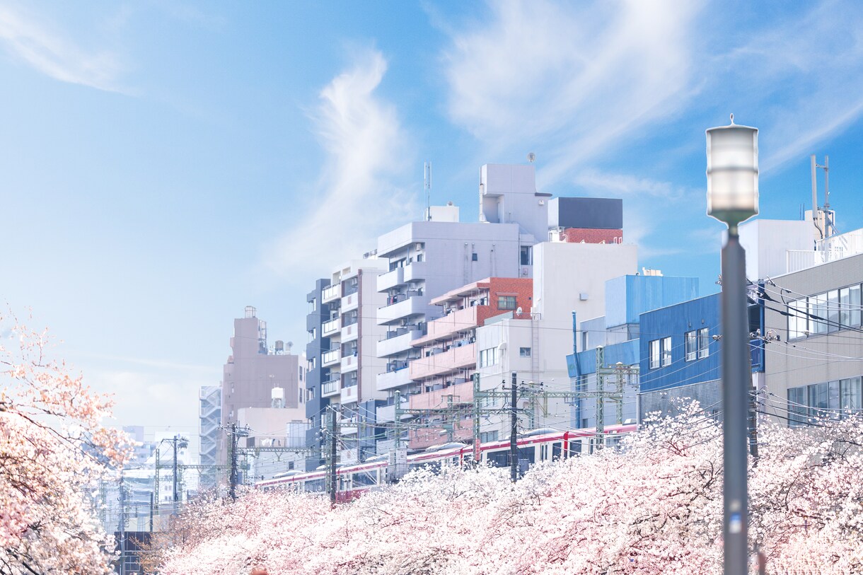 写真の切り抜き・加工を承ります 人物・動物・植物などもOK！1枚500円～ イメージ6