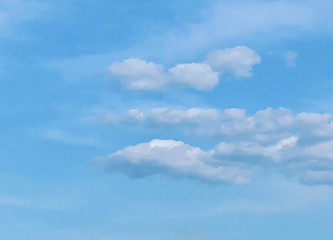 自然を感じられる写真を撮ります 幸せが広がる、笑顔があふれる気持ちになりますように イメージ6