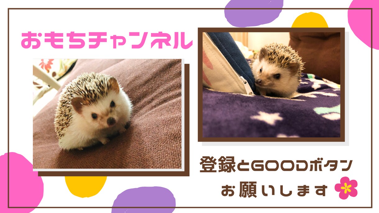 フライヤー6000円で作成します 急ぎの方！！2日で納品致します！！ イメージ4