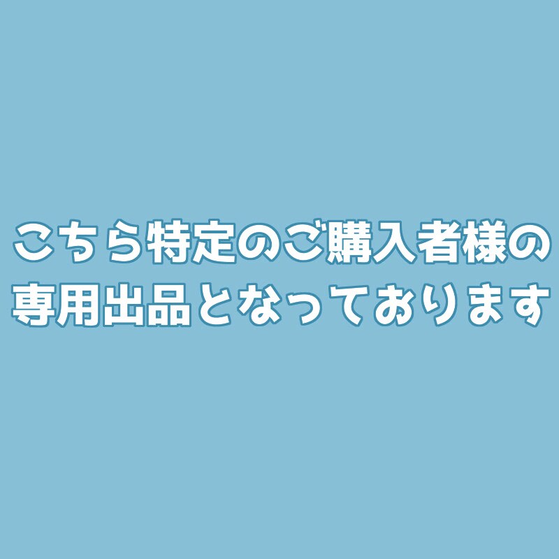 専用出品です。