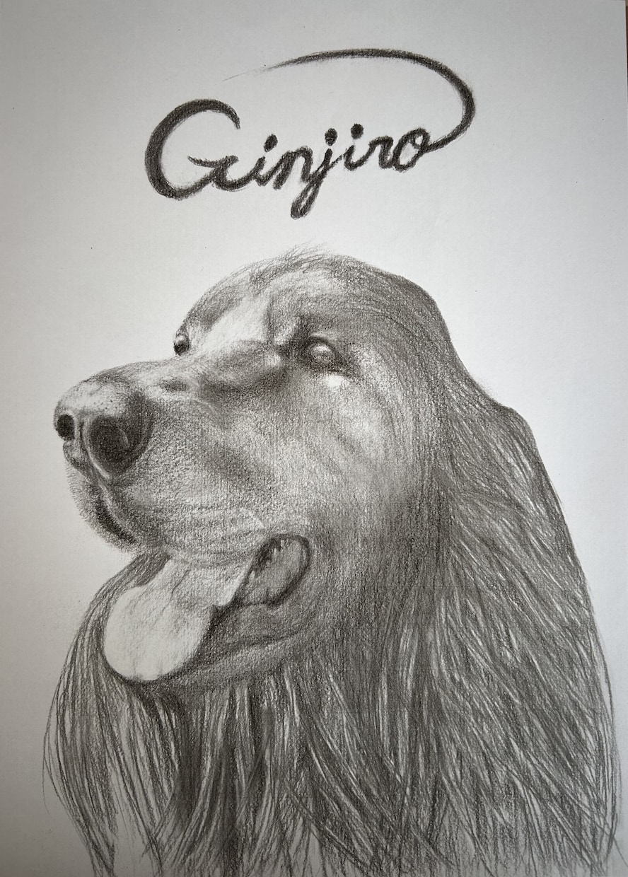 鉛筆でお犬さんを描きます お犬さんの思い出の写真を鉛筆画にいたします。 イメージ1