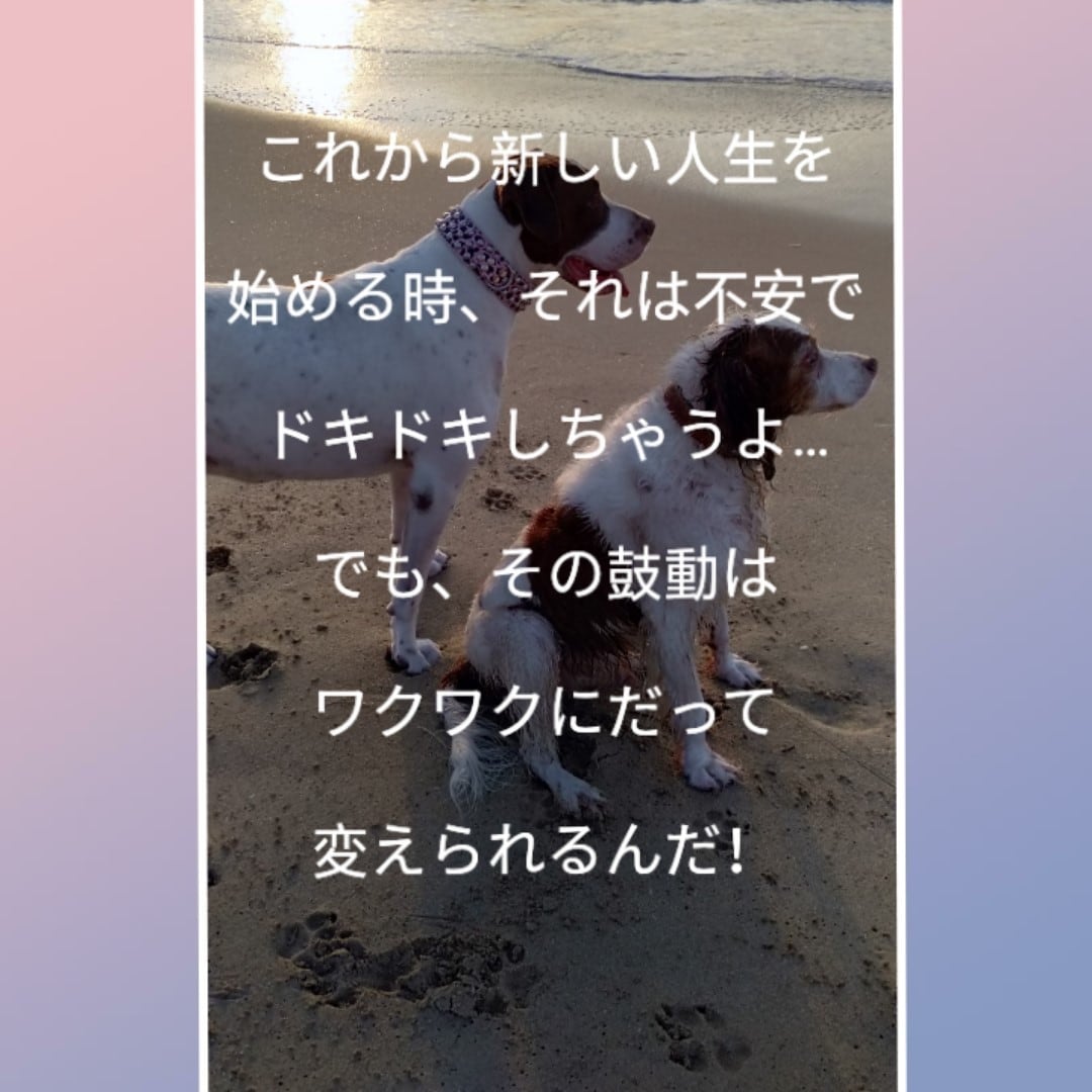 恋愛全般・失恋・復縁・結婚・離婚のお悩みに答えます 感情のジェットコースターに乗っていませんか？　戻れ心の平和！ イメージ3