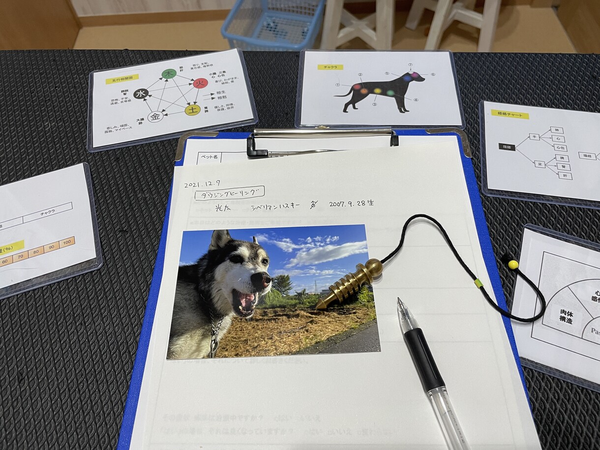 ペットにエネルギーをチャージします ペットに元氣になって欲しい方獣医師による遠隔ヒーリングです イメージ4