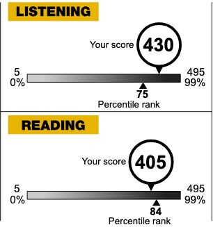 120日質問無制限で徹底的に英語学習サポートします 基礎から始めTOEIC800取得までを徹底サポートします イメージ3
