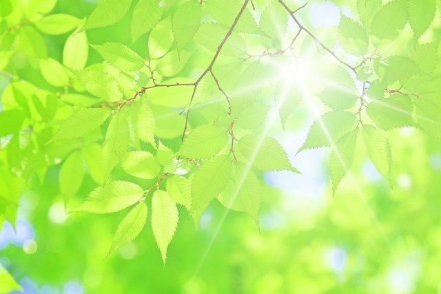 交換日記のように✨あなたのお話に寄り添います 相談じゃなくてもOK◆7日以内に3回♪愚痴/ひとりごと/雑談 イメージ7