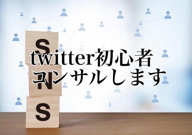 Twitter初心者の方１週間コンサルします Twitterの運用のポイントを分かりやすくお伝えします。 イメージ1
