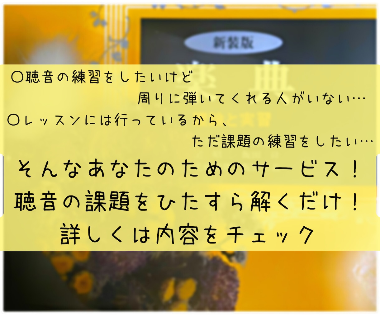聴音課題の練習をお手伝いします １人では難しい、課題を解くことに特化！音高・音大受験生必見！ イメージ2