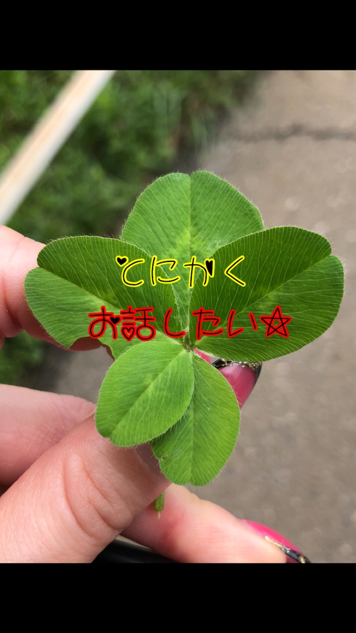 朝限定☆おはようのパワー届けます 行ってらっしゃい(=´∀｀)人(´∀｀=) イメージ1