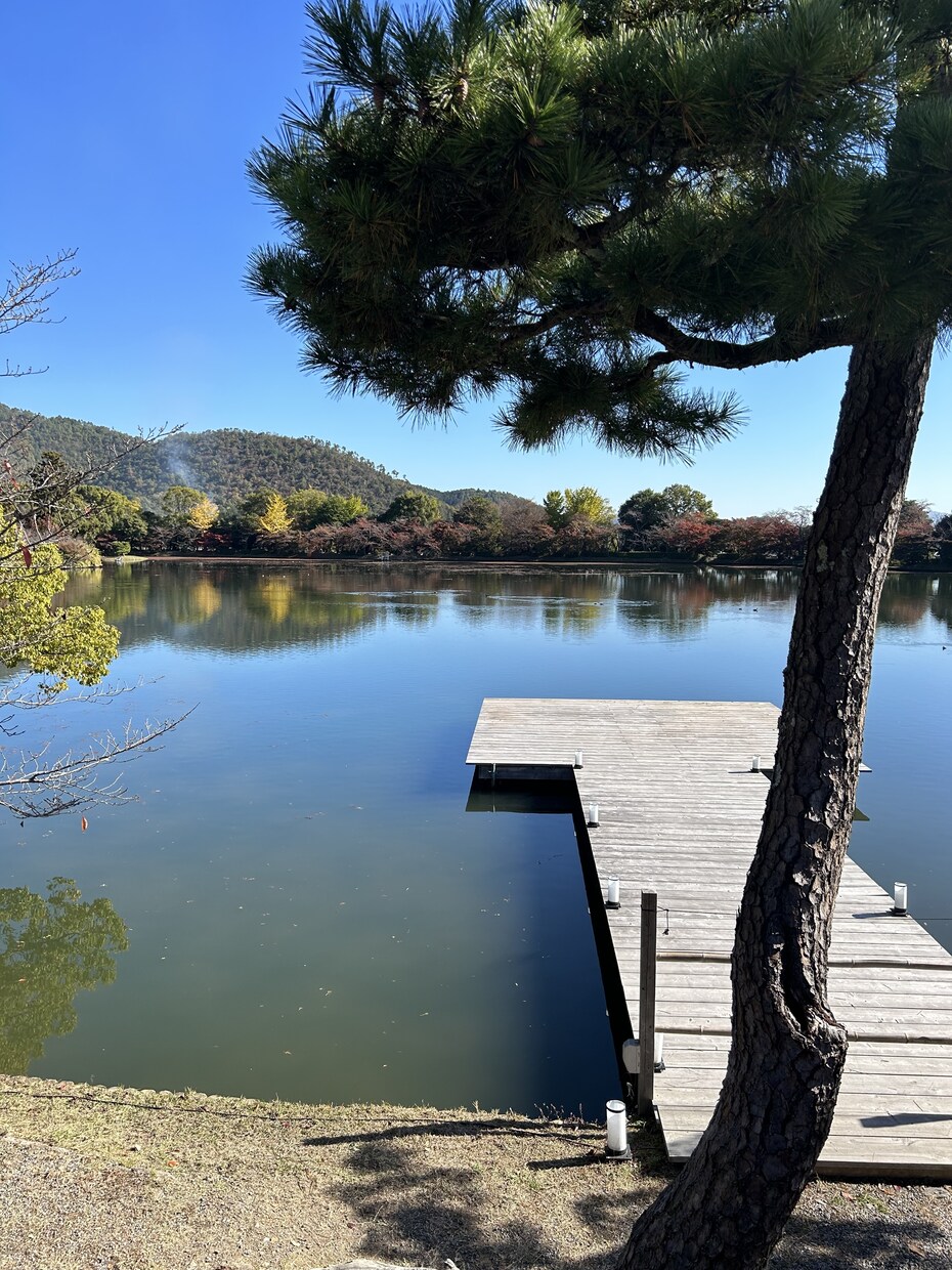 京都記事を取材・撮影・構成から一括制作します 京都観光15年、現地取材・写真撮影・記事制作まで対応 イメージ8