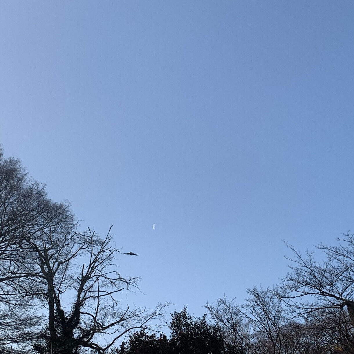 あなたの秘密の友だちになります あなたが今思ってること、感じていることを教えてください イメージ1