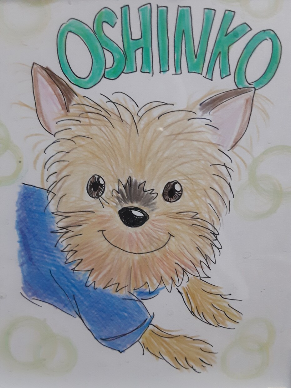 大好きな愛犬の似顔絵を描きます 暖かみのある色づかいで優しい感じに仕上げます。 イメージ1