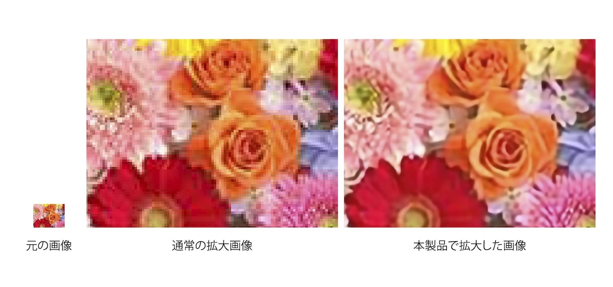 AIで小さな写真を、大きく鮮明にします 切り抜き写真や小さな写真を大きくしませんか？ イメージ2