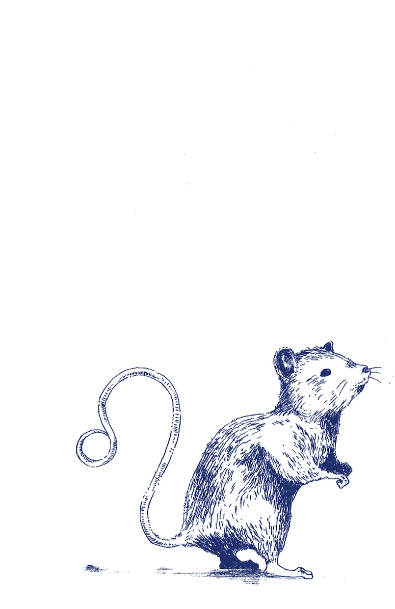 手描き動物イラスト【ペン画】書きます お好きな動物をリアルタッチのお洒落なテイストに仕上げます。 イメージ2