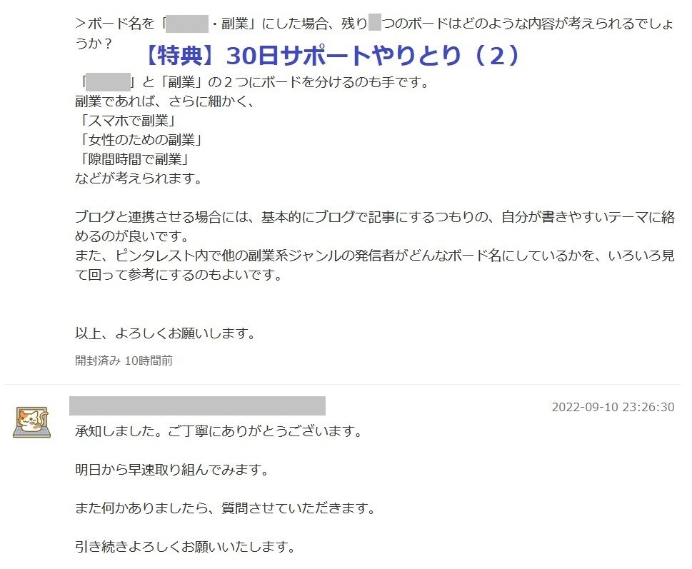 ピンタレストで継続収入を自動化する方法を教えます そのままコピーしてあなたのコンテンツとして使えるマニュアル付 イメージ6